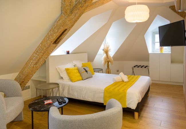  in Strasbourg - Rossignol, a charming studio in central Strasbourg