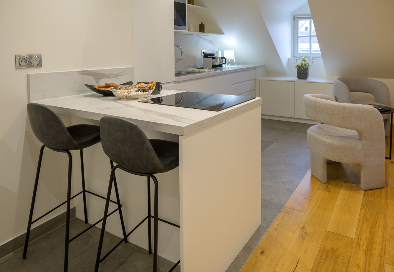 Studio à Strasbourg - Rossignol, charmant studio au centre de Strasbourg