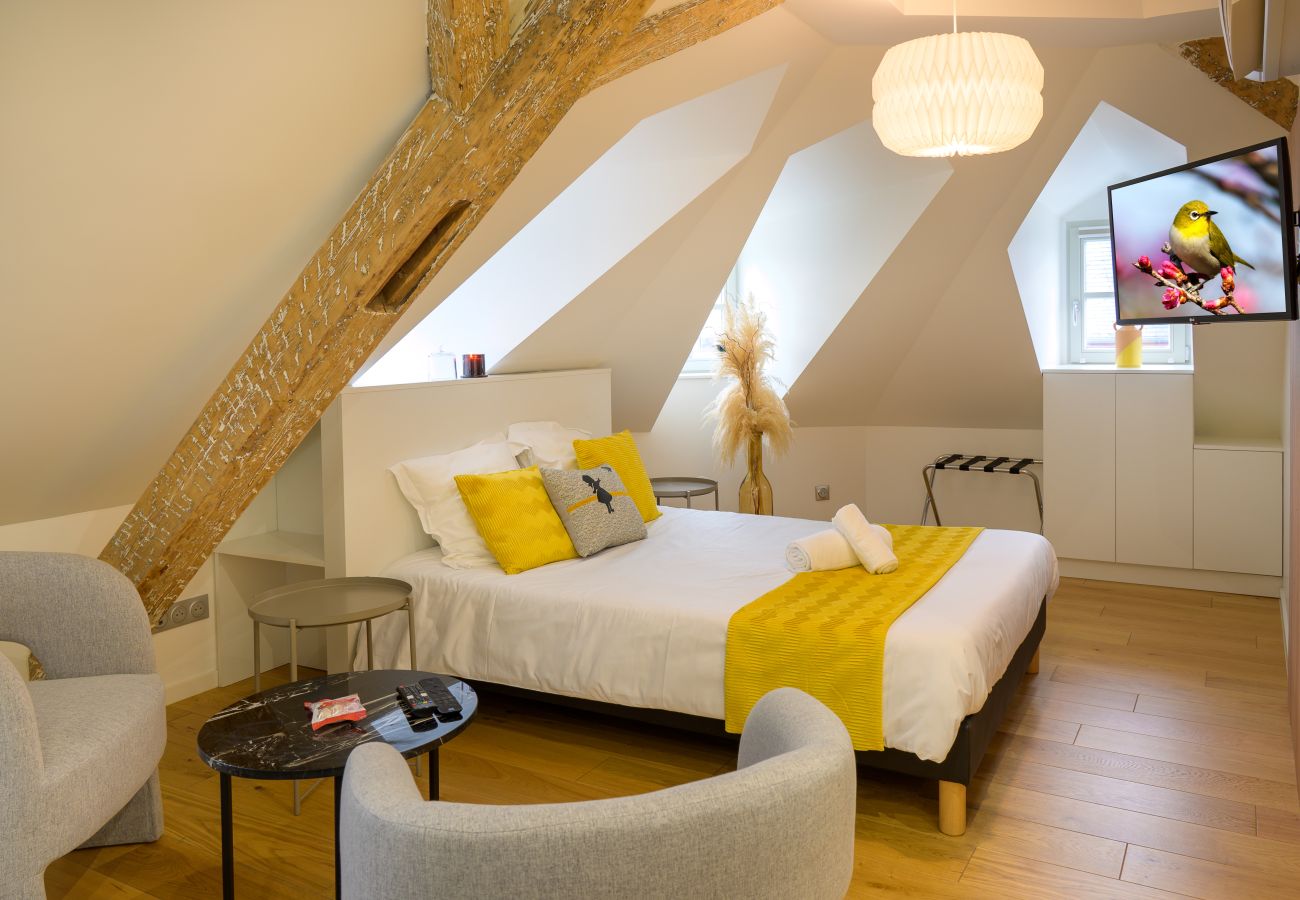 Chambre charmante sous toit avec lit double et ambiance cosy – Séjour d’exception en studio meublé à Strasbourg.